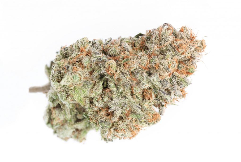 Blueberry
